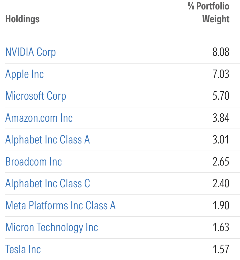 VOO Top 10 Holdings