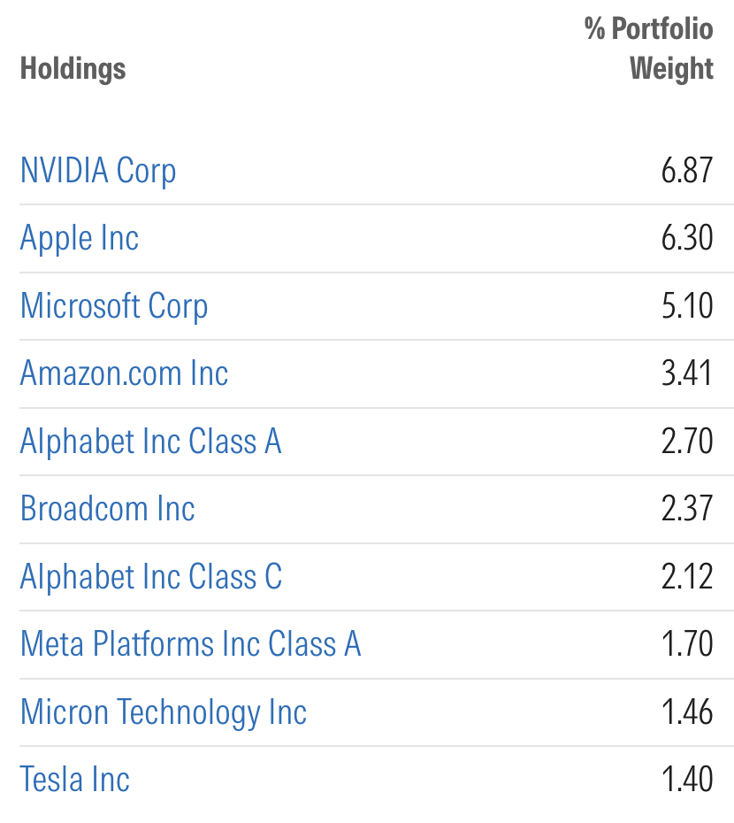 VTI Top 10 Holdings
